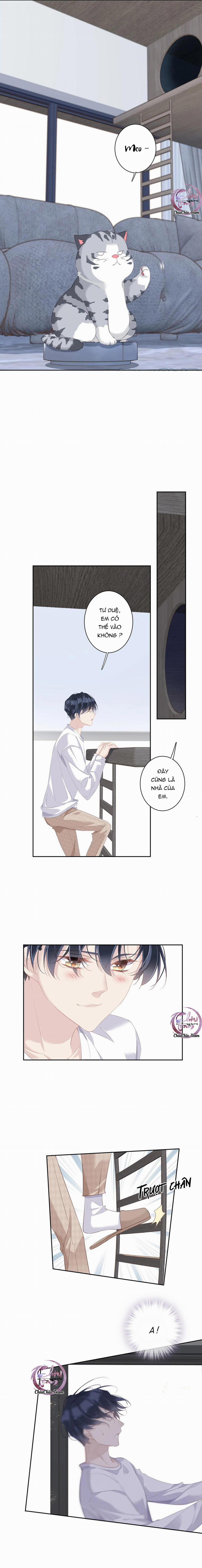 Cuộc Mai Mối Vượt Giống Loài 32 trang 6