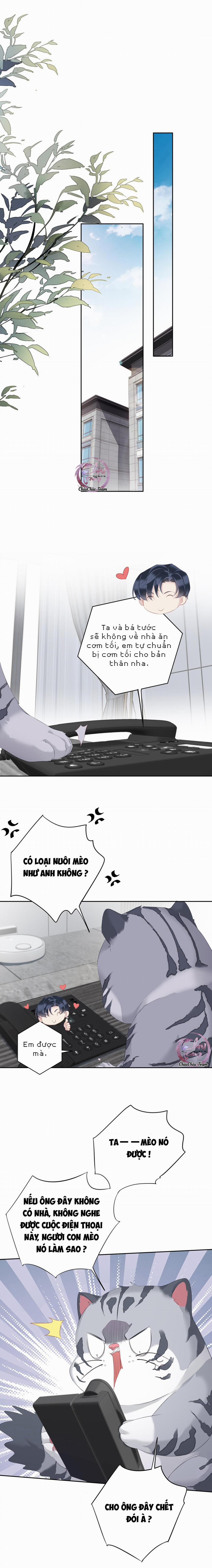 Cuộc Mai Mối Vượt Giống Loài 34 trang 4