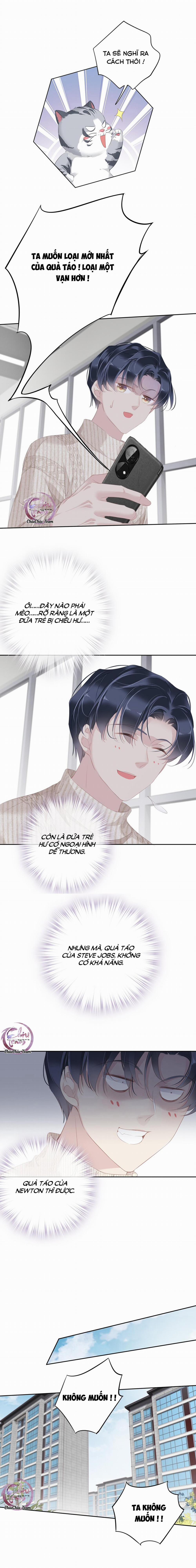 Cuộc Mai Mối Vượt Giống Loài 34 trang 6