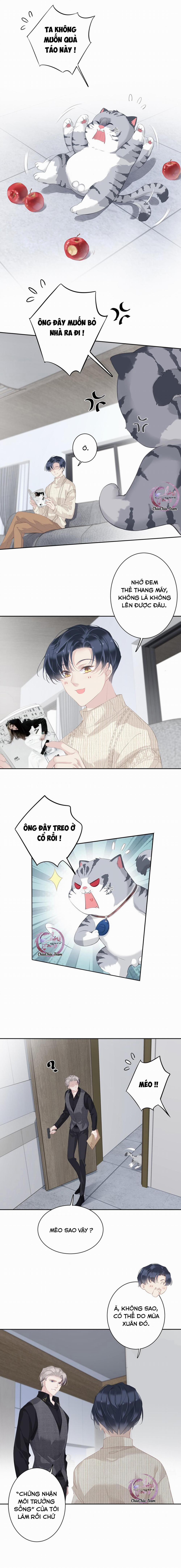 Cuộc Mai Mối Vượt Giống Loài 34 trang 7