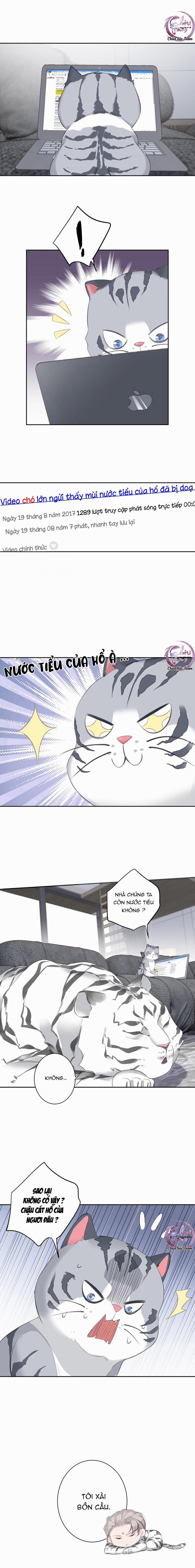 Cuộc Mai Mối Vượt Giống Loài 35 trang 11