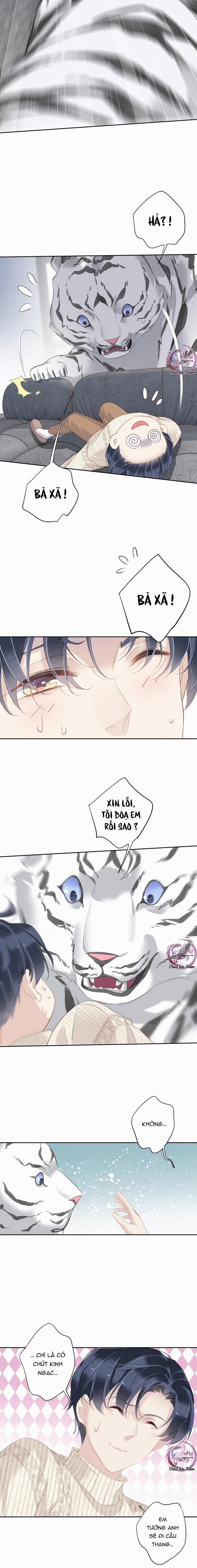 Cuộc Mai Mối Vượt Giống Loài 35 trang 2