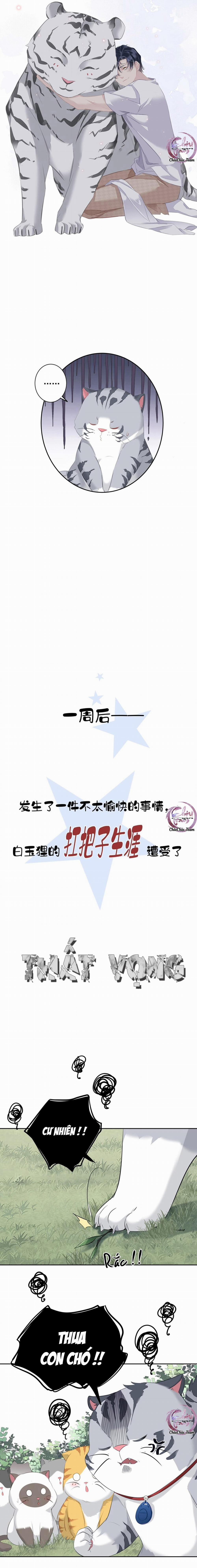 Cuộc Mai Mối Vượt Giống Loài 35 trang 9