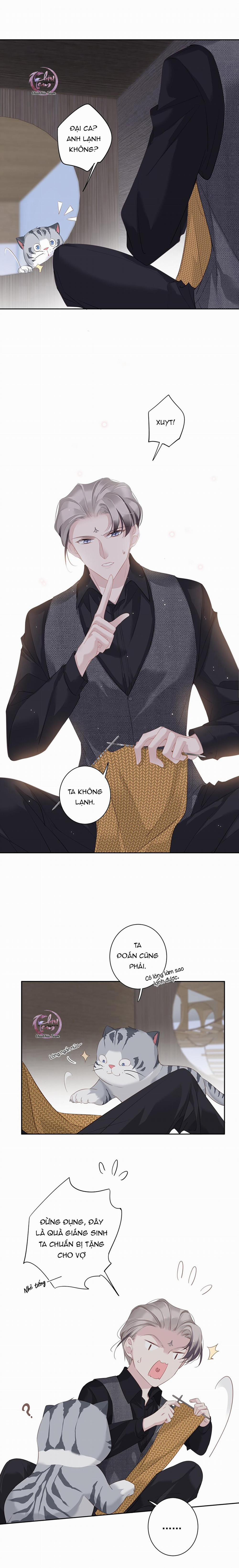 Cuộc Mai Mối Vượt Giống Loài 38 trang 4