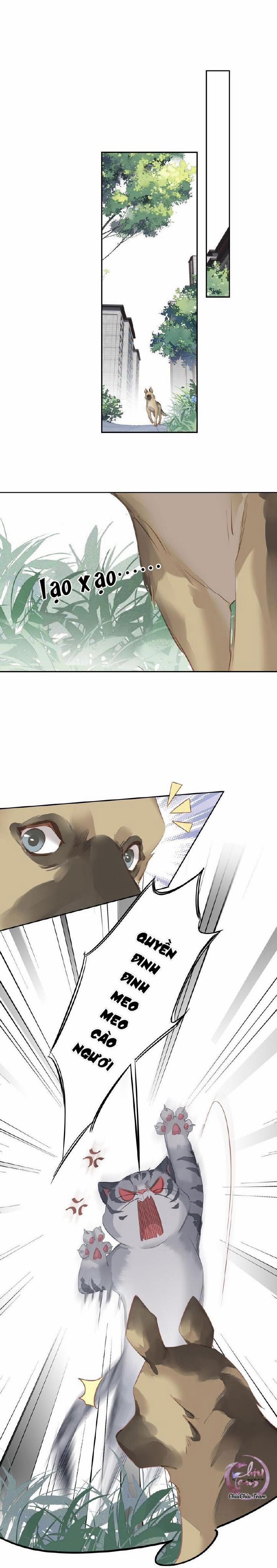 Cuộc Mai Mối Vượt Giống Loài 46 trang 12