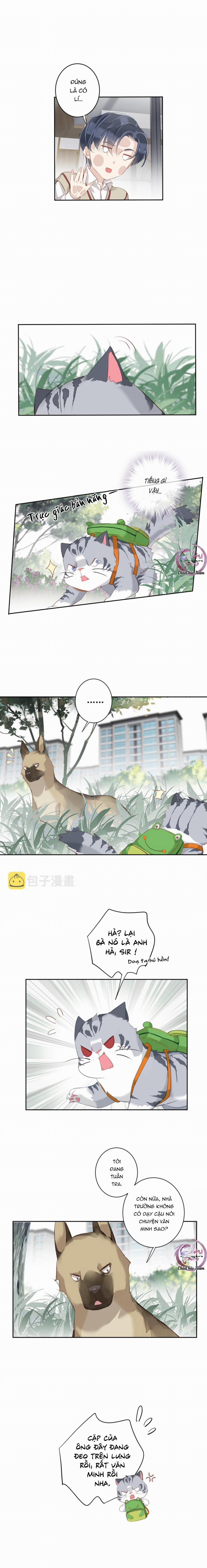 Cuộc Mai Mối Vượt Giống Loài 49 trang 5