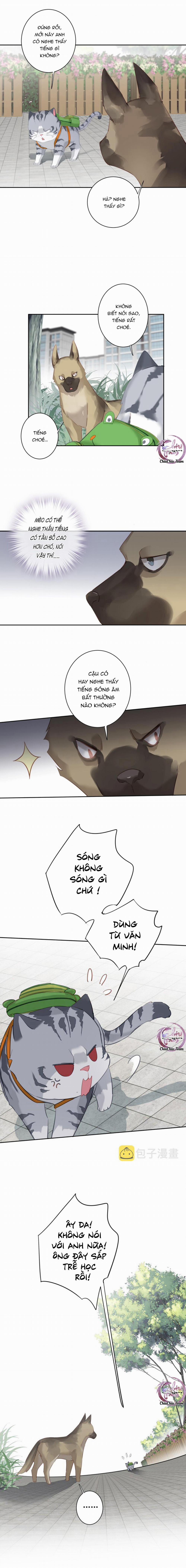 Cuộc Mai Mối Vượt Giống Loài 49 trang 6