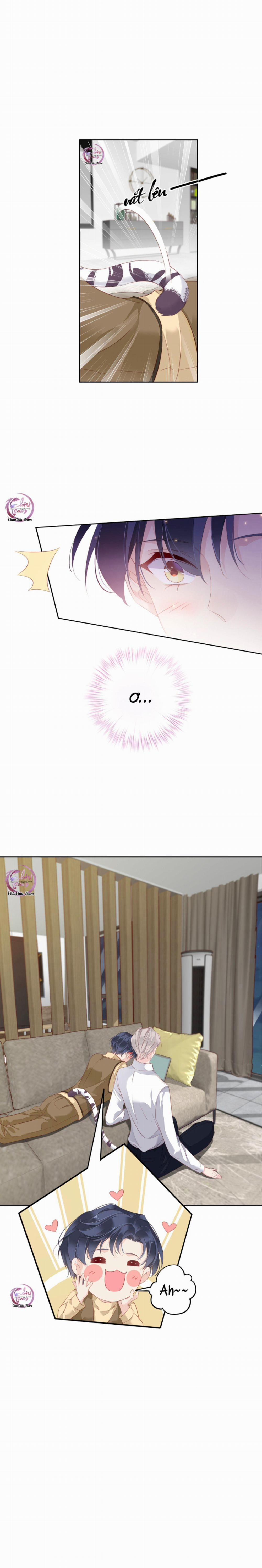 Cuộc Mai Mối Vượt Giống Loài 6 trang 3