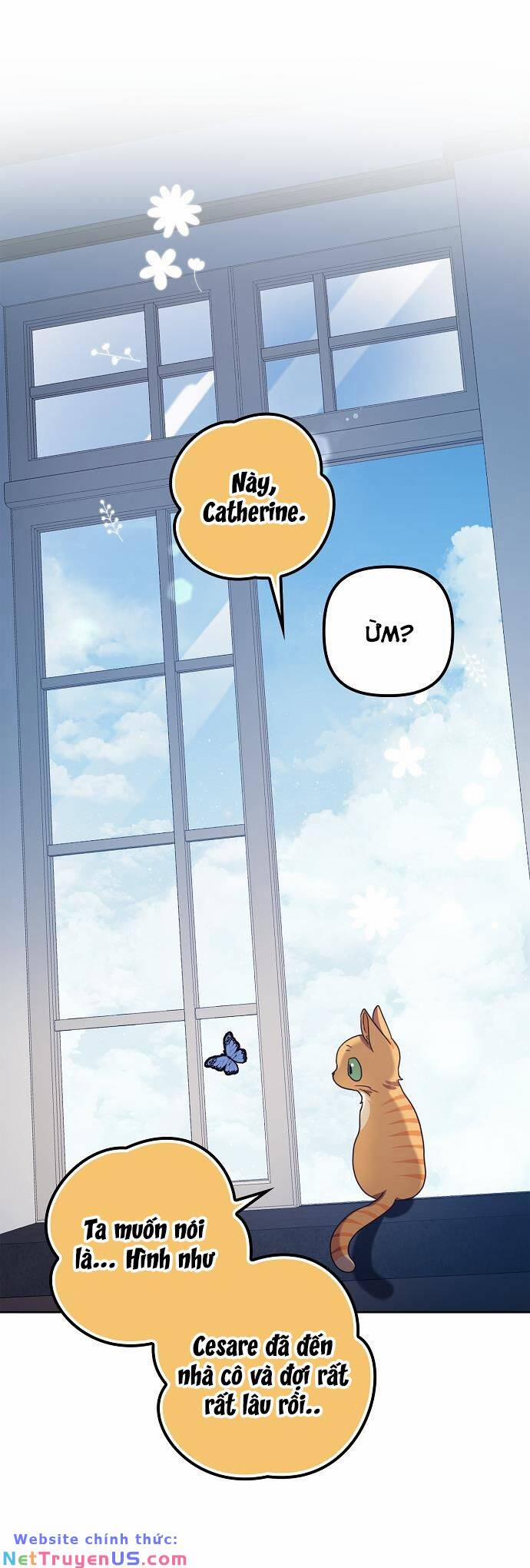 Cuộc Sống Độc Thân Giản Dị Của Quý Cô Bị Bỏ Rơi 17 trang 0