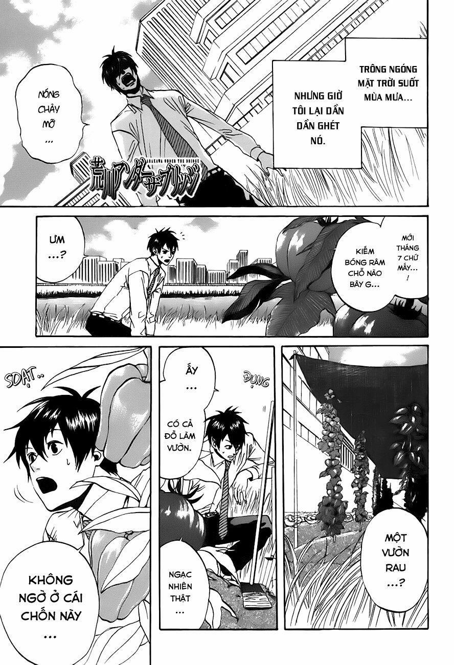 Cuộc Sống Dưới Cây Cầu 36 trang 0