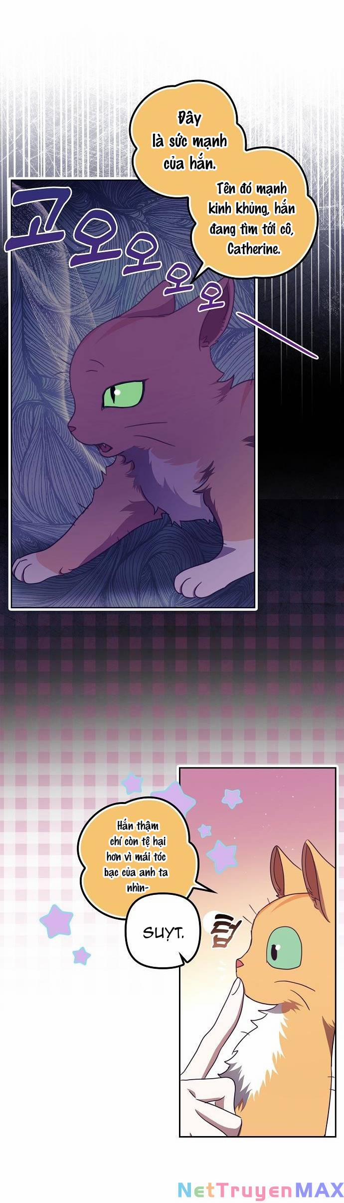 Cuộc Sống Giản Dị Của Người Độc Thân Bị Bỏ Rơi 13 trang 1