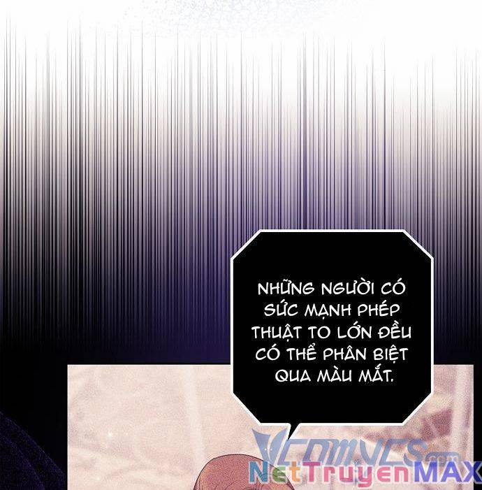 Cuộc Sống Giản Dị Của Người Độc Thân Bị Bỏ Rơi 13 trang 17