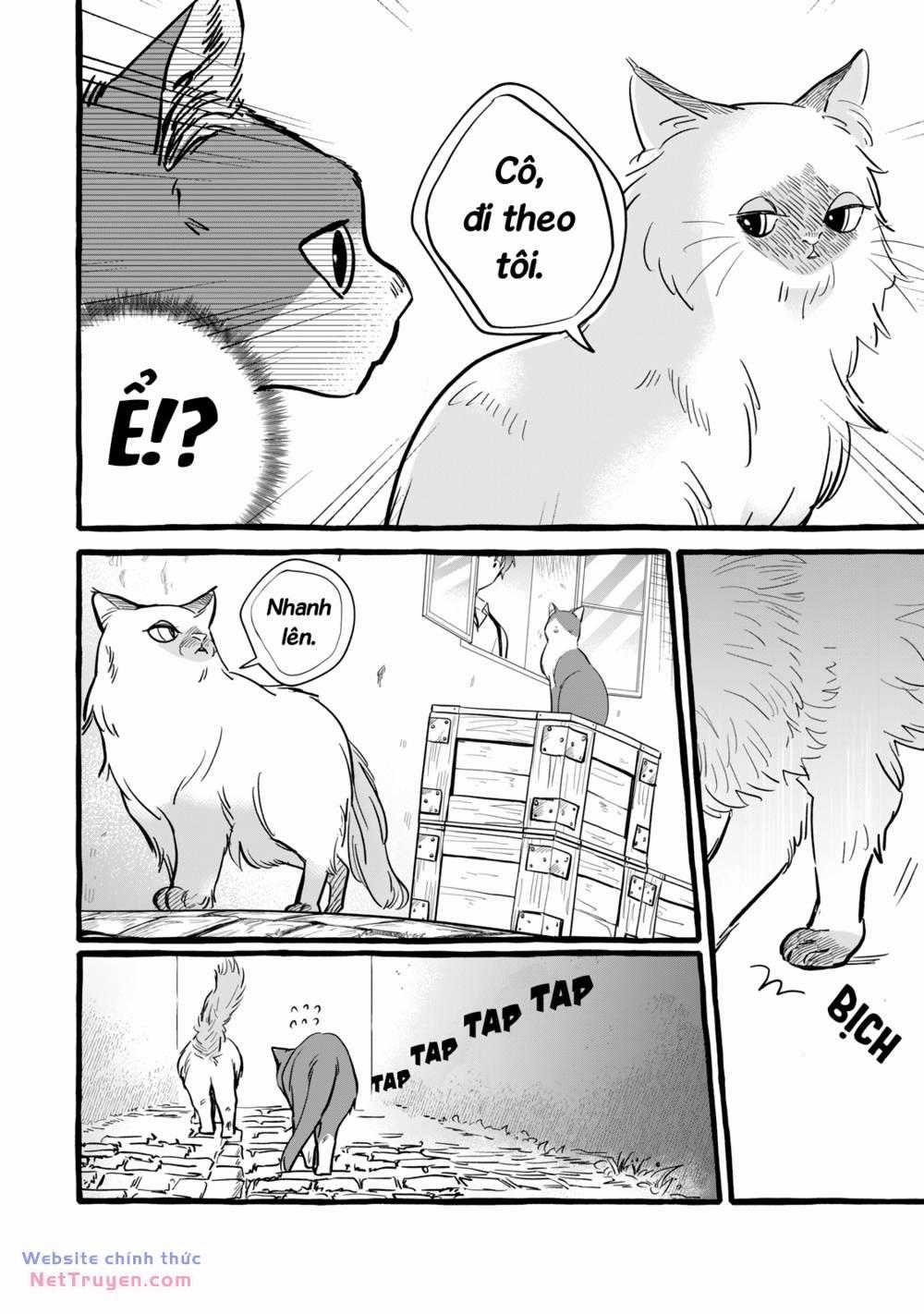 Cuộc Sống Khi Làm Hầu Gái Cho Pháp Sư Hướng Nội. 10 trang 26