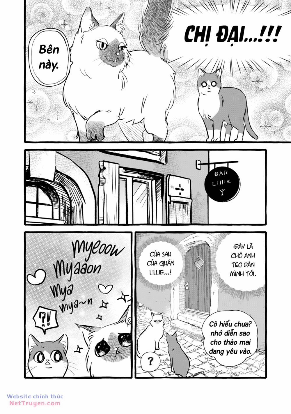 Cuộc Sống Khi Làm Hầu Gái Cho Pháp Sư Hướng Nội. 10 trang 28