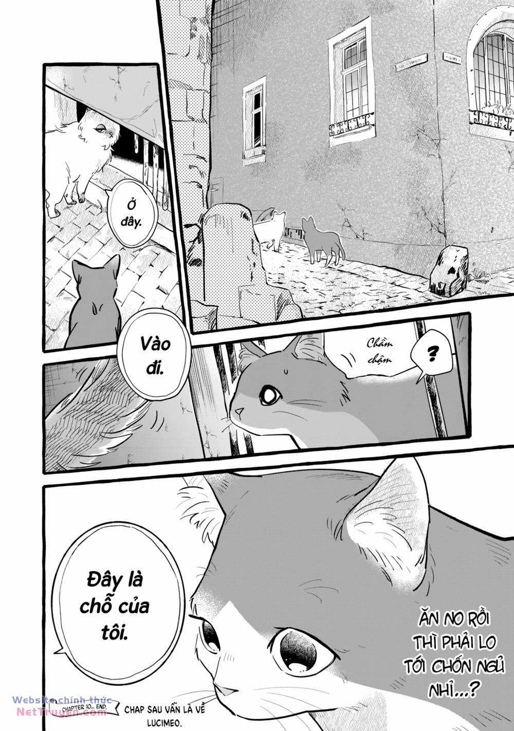 Cuộc Sống Khi Làm Hầu Gái Cho Pháp Sư Hướng Nội. 10 trang 32