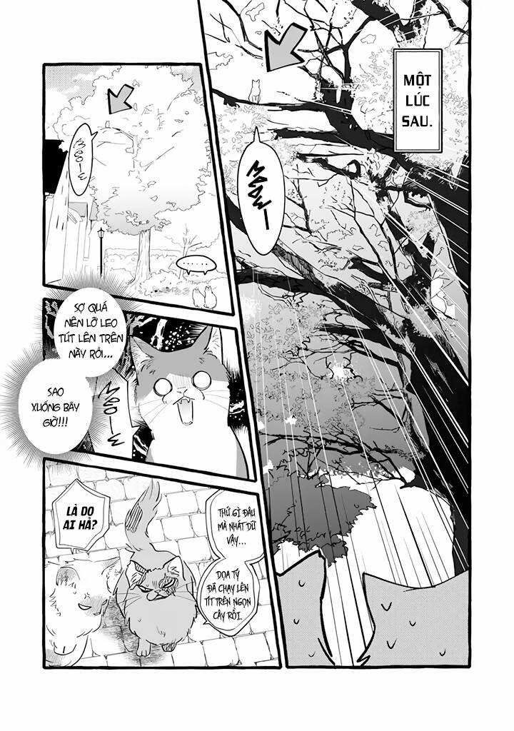 Cuộc Sống Khi Làm Hầu Gái Cho Pháp Sư Hướng Nội. 11 trang 11