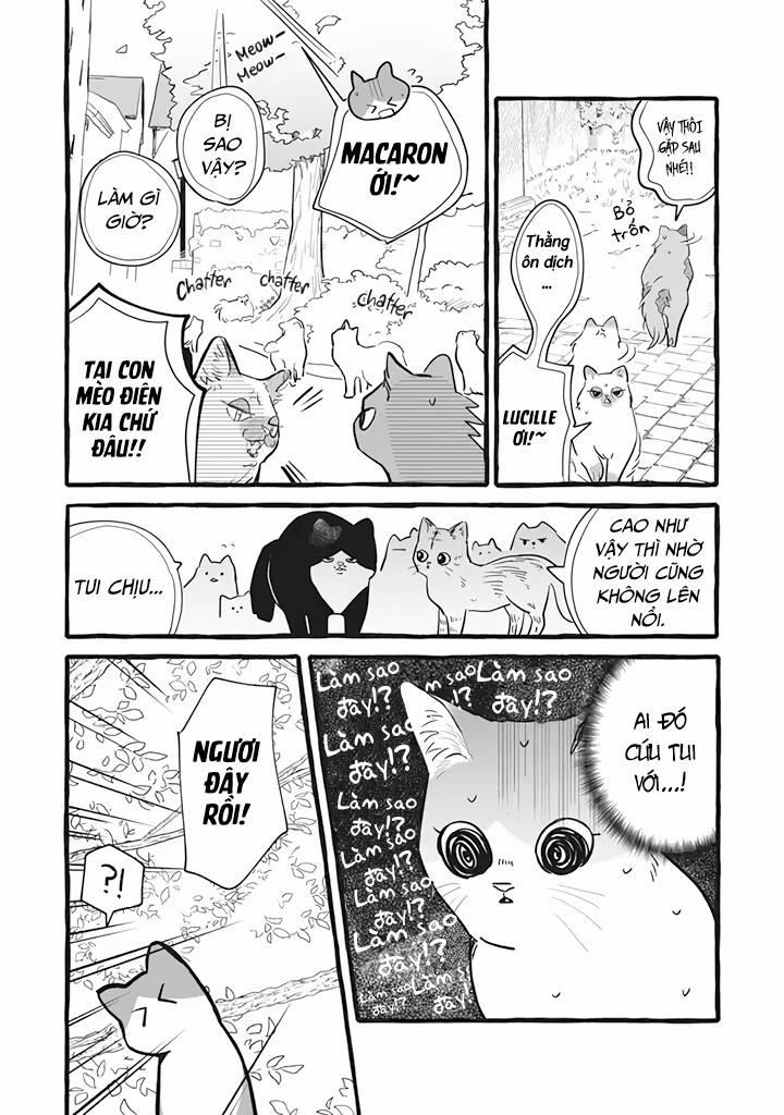 Cuộc Sống Khi Làm Hầu Gái Cho Pháp Sư Hướng Nội. 11 trang 12