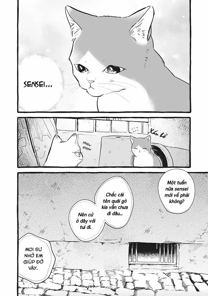 Cuộc Sống Khi Làm Hầu Gái Cho Pháp Sư Hướng Nội. 11 trang 6