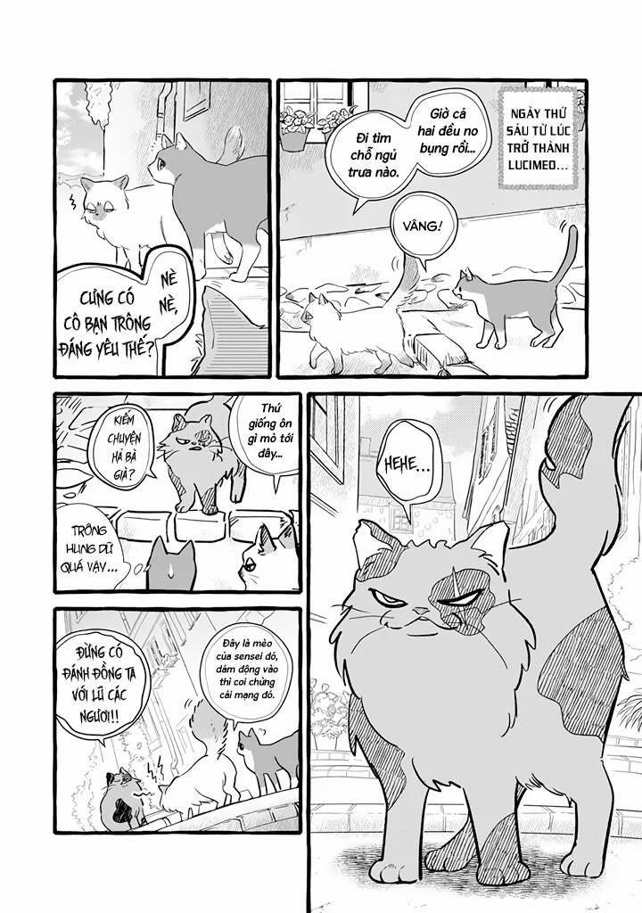 Cuộc Sống Khi Làm Hầu Gái Cho Pháp Sư Hướng Nội. 11 trang 8