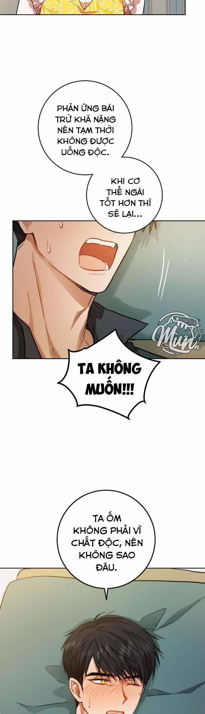 Cuộc Sống Mới Của Công Nương 41 trang 34