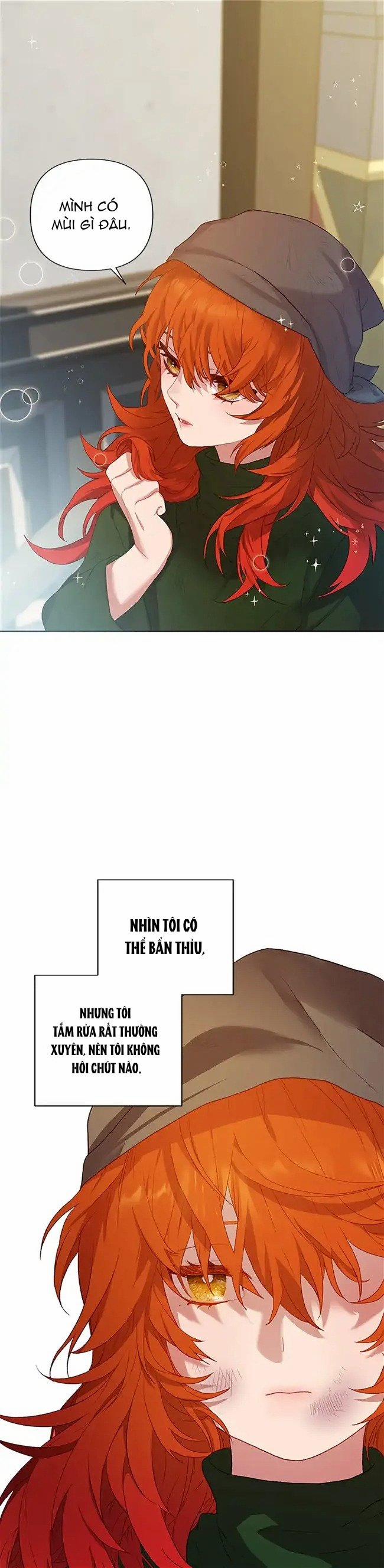 Cuộc Sống Vương Giả Của Người Tình Giả 1.1 trang 5