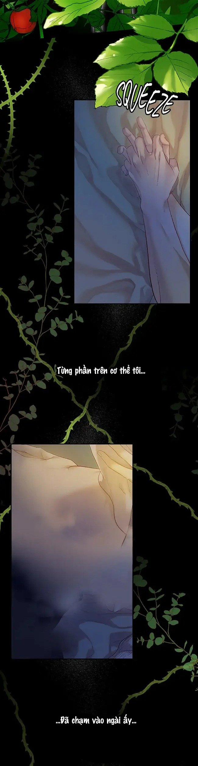 Cuộc Sống Vương Giả Của Người Tình Giả 1.2 trang 16