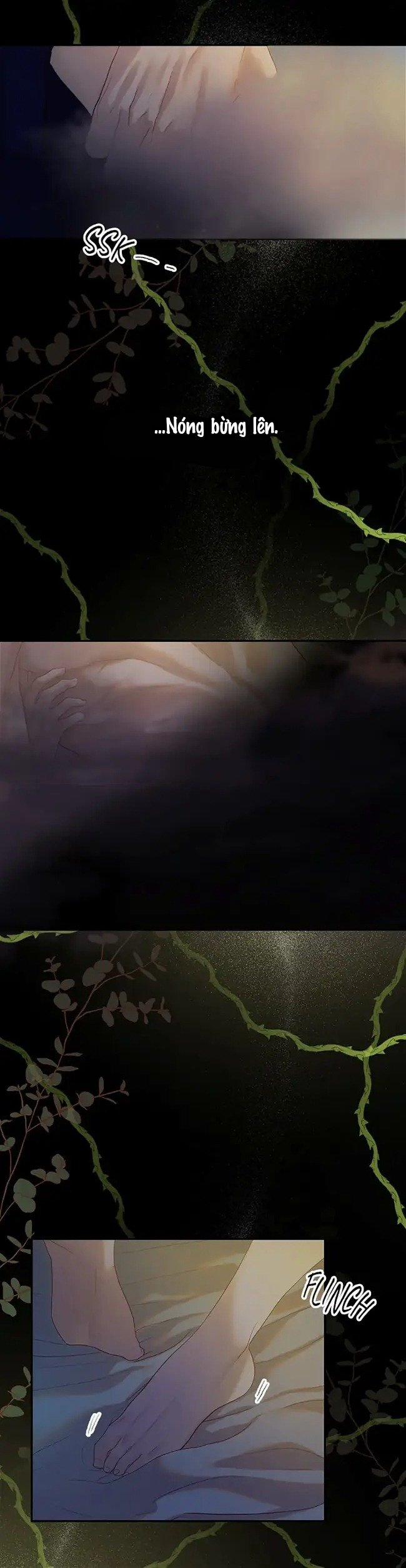 Cuộc Sống Vương Giả Của Người Tình Giả 1.2 trang 17