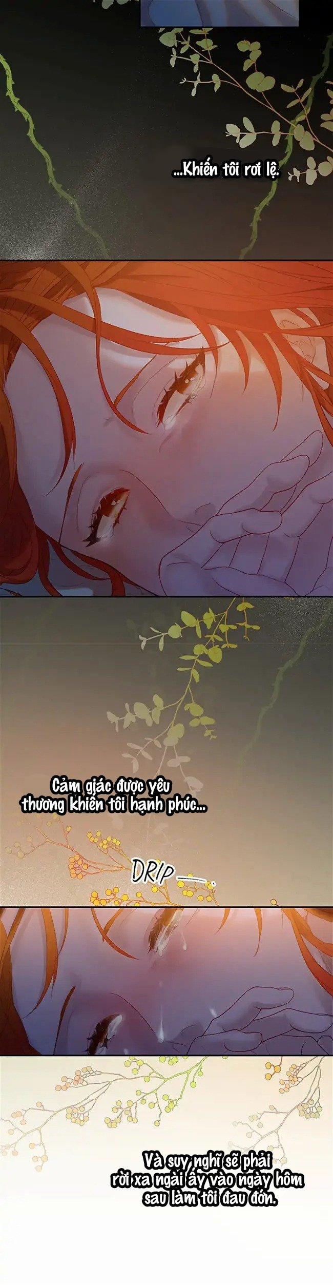 Cuộc Sống Vương Giả Của Người Tình Giả 1.2 trang 19