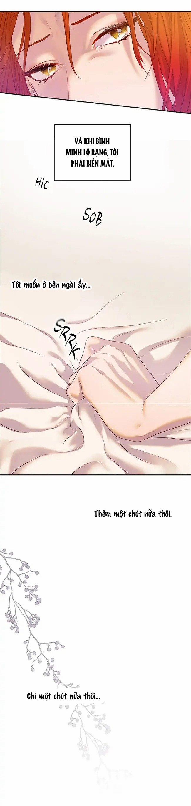 Cuộc Sống Vương Giả Của Người Tình Giả 1.2 trang 22