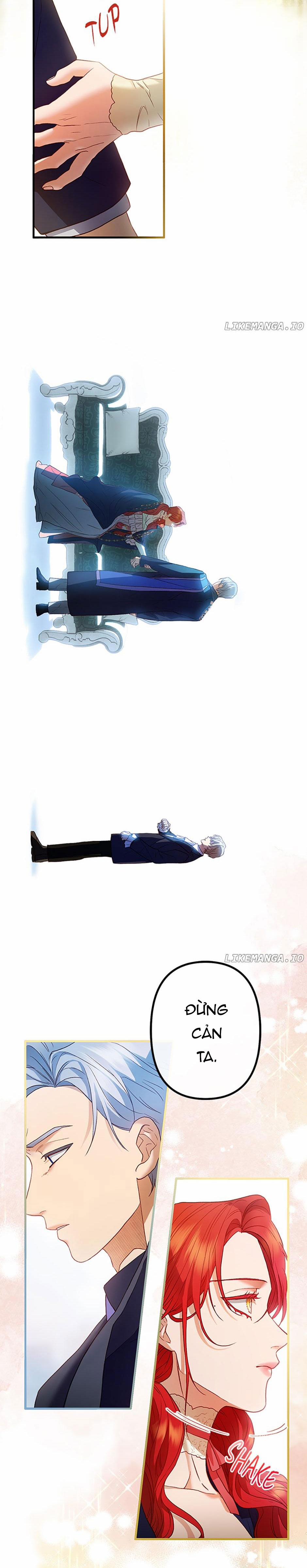 Cuộc Sống Vương Giả Của Người Tình Giả 48.1 trang 11