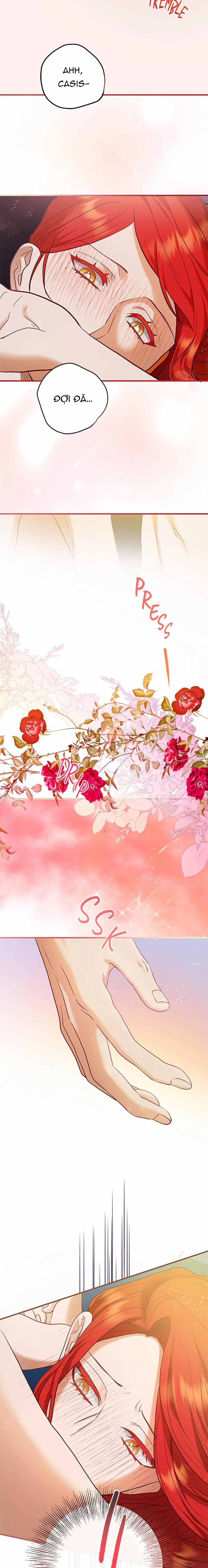 Cuộc Sống Vương Giả Của Người Tình Giả 58.2 trang 1