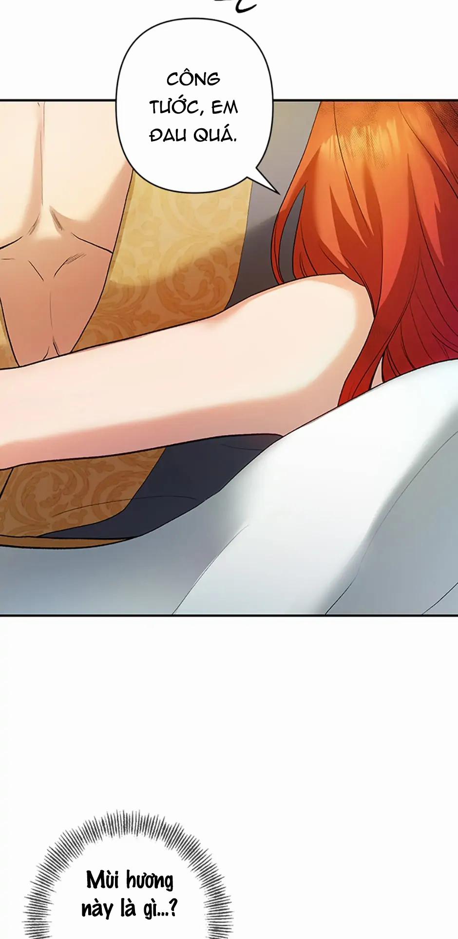 Cuộc Sống Vương Giả Của Người Tình Giả 6.2 trang 1