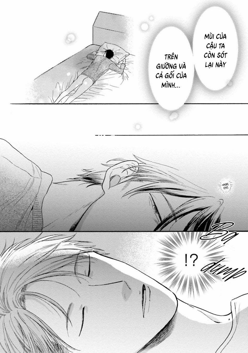 Cuộc Sống Yên Bình Bỗng Trở Nên Khủng Hoảng 3 trang 8