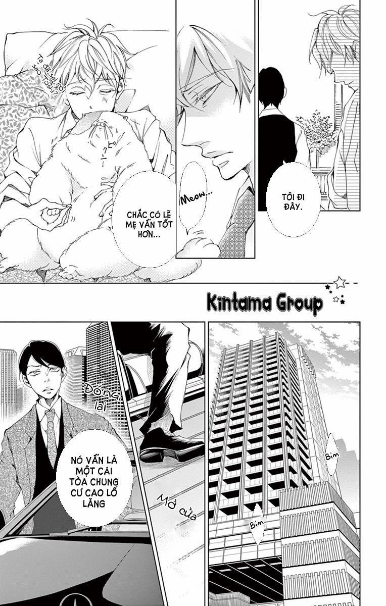 Cuộc Tình Cà Rốt 8 trang 16