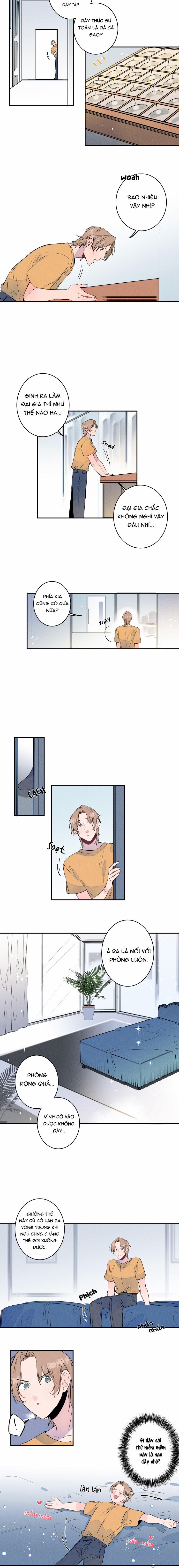 Cưới Anh Hả?! Được Luôn! 3 trang 5