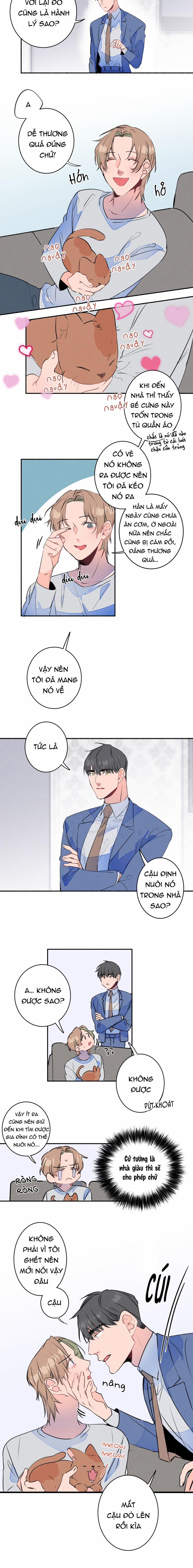 Cưới Anh Hả?! Được Luôn! 8 trang 10