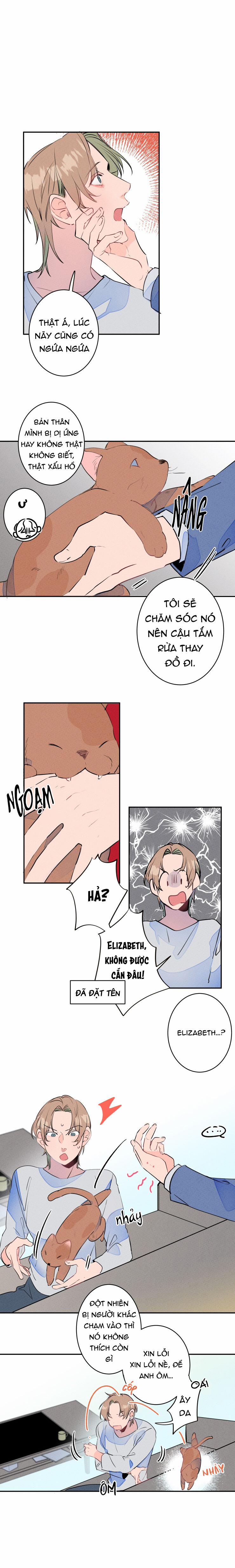 Cưới Anh Hả?! Được Luôn! 8 trang 11