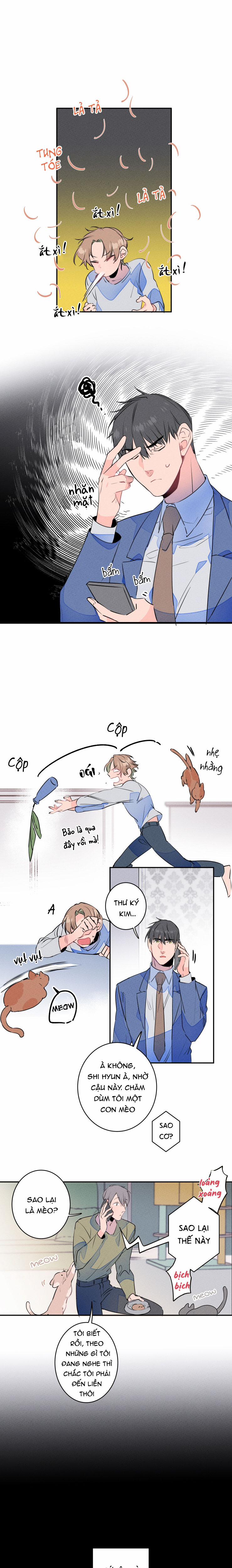 Cưới Anh Hả?! Được Luôn! 8 trang 12