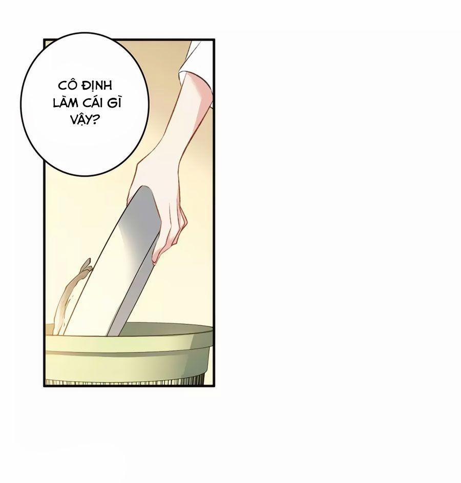 Cuốn Sách Vận Mệnh Của Tôi 57 trang 0