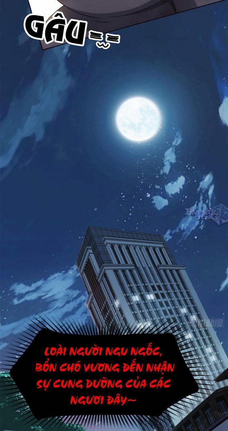 Cường Giả Đến Từ Trại Tâm Thần 21 trang 7