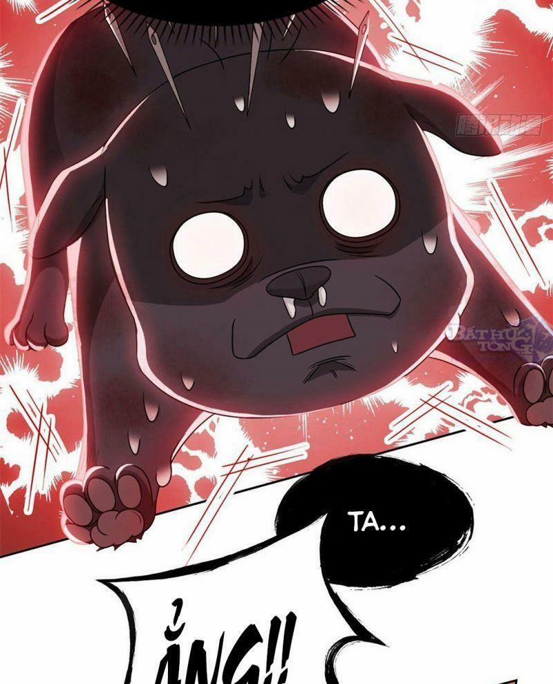 Cường Giả Đến Từ Trại Tâm Thần 22 trang 4