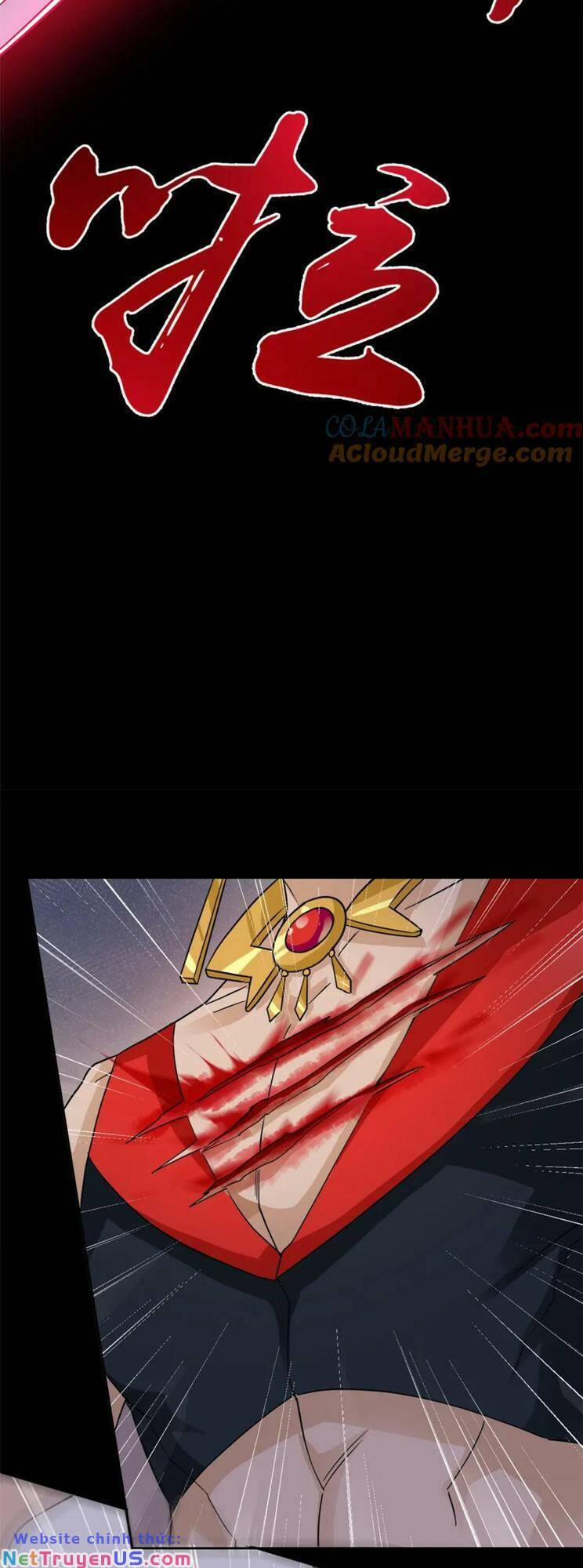 Cường Giả Đến Từ Trại Tâm Thần 220 trang 24