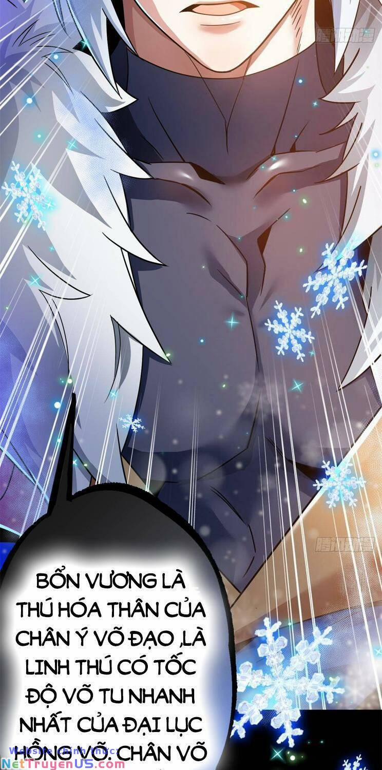 Cường Giả Đến Từ Trại Tâm Thần 221 trang 50