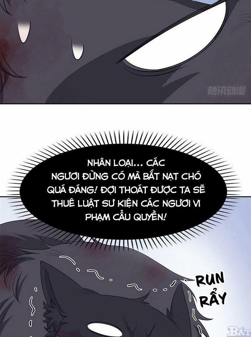 Cường Giả Đến Từ Trại Tâm Thần 23 trang 12