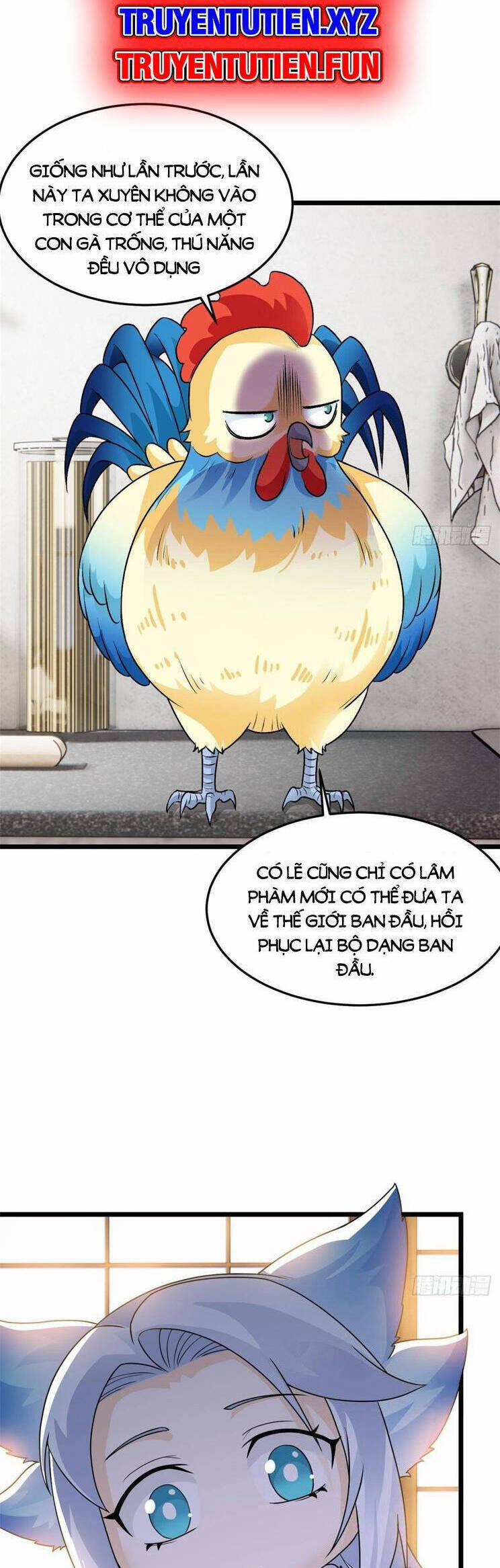 Cường Giả Đến Từ Trại Tâm Thần 273 trang 16