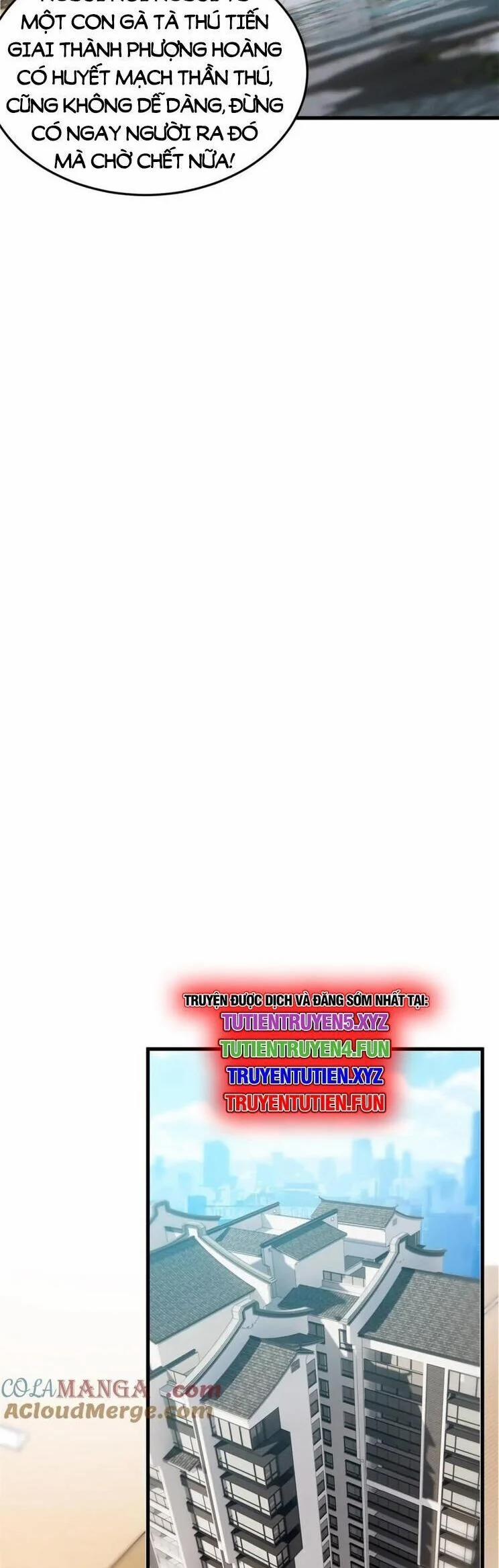 Cường Giả Đến Từ Trại Tâm Thần 313 trang 16