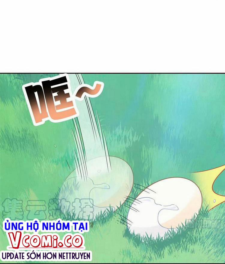 Cường Giả Đến Từ Trại Tâm Thần 59 trang 19