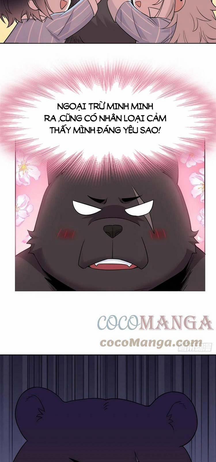 Cường Giả Đến Từ Trại Tâm Thần 62 trang 21