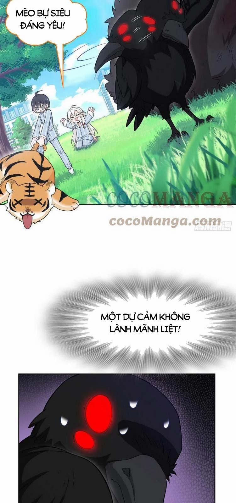 Cường Giả Đến Từ Trại Tâm Thần 62 trang 31