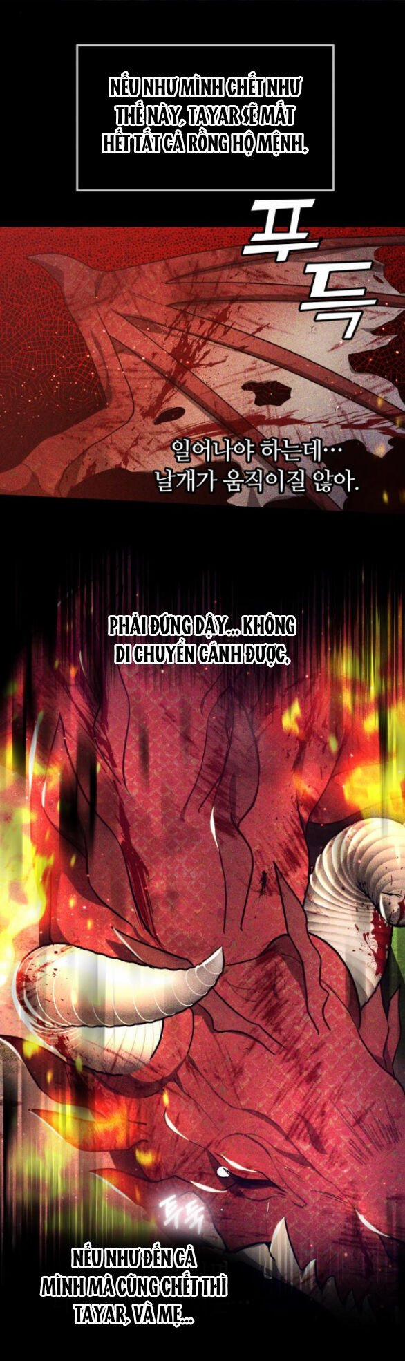 CƯỚP DÂU 25.2 trang 25